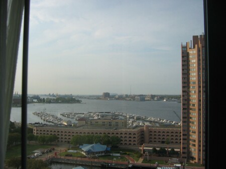 view from the hotel randy
