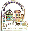 2000 Black Eyed Susan's Pin